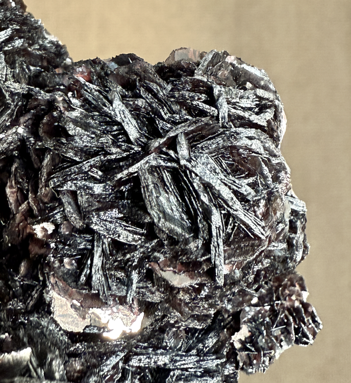 Capture d’écran 2026-01-09 à 00.31.05.png