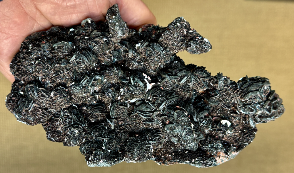 Capture d’écran 2026-01-09 à 23.17.36.png