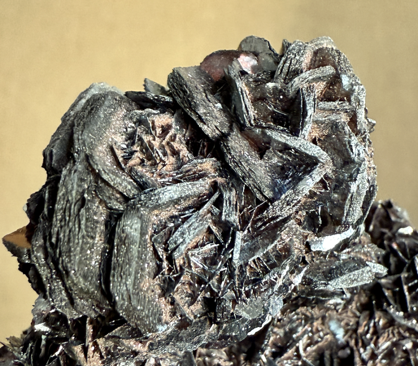 Capture d’écran 2026-01-09 à 23.18.02.png