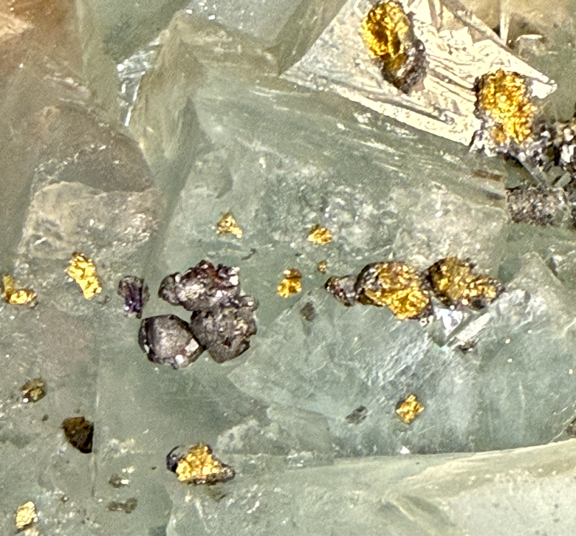 Capture d’écran 2026-01-12 à 00.17.37.png