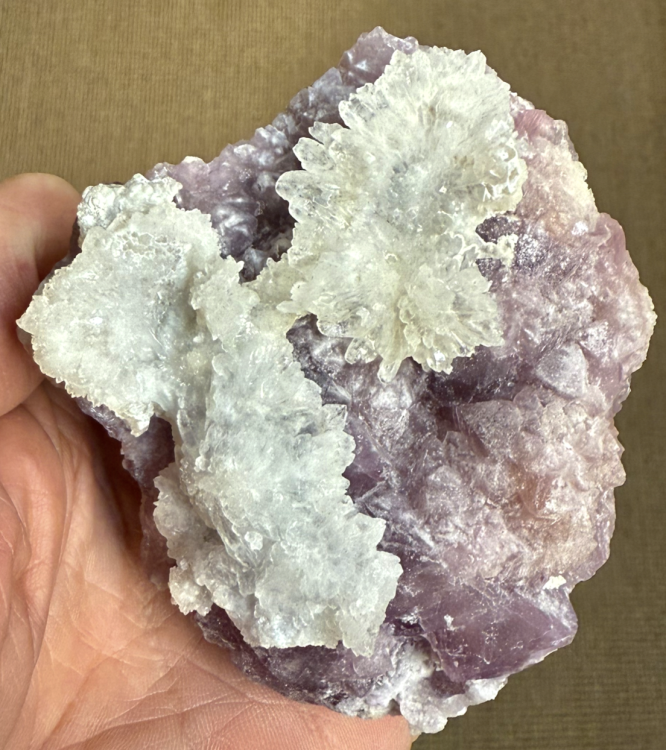 Capture d’écran 2026-01-14 à 22.22.00.png