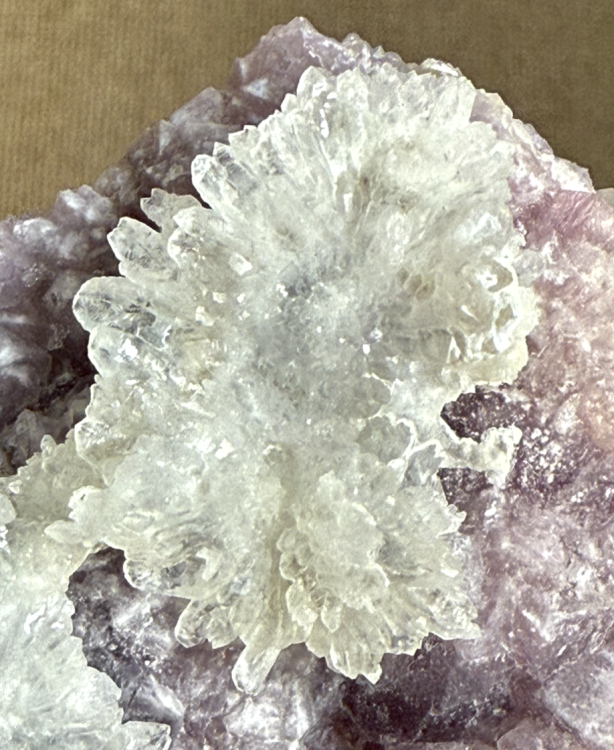 Capture d’écran 2026-01-14 à 22.22.23.png