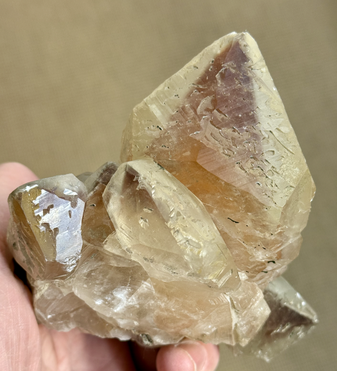 Capture d’écran 2026-01-18 à 10.11.59.png