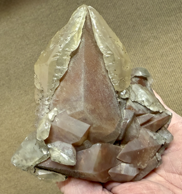 Capture d’écran 2026-01-18 à 10.13.04.png