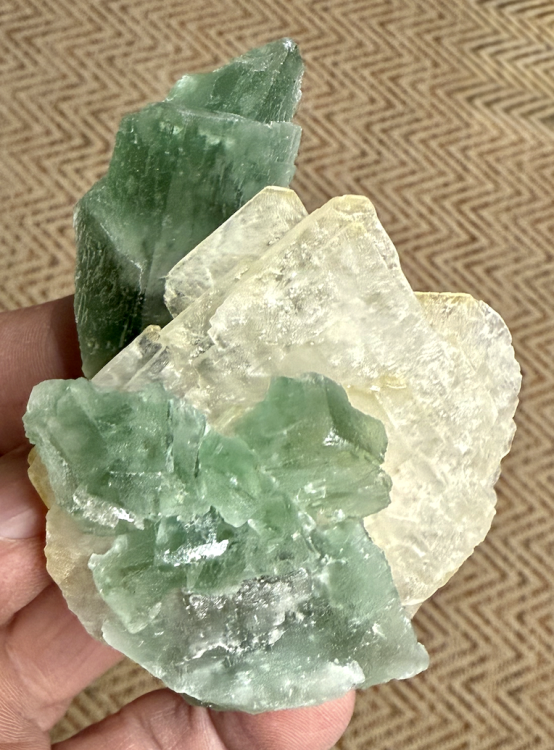 Capture d’écran 2026-01-18 à 10.14.59.png