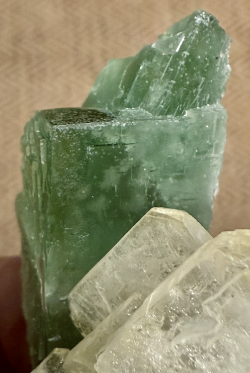 Capture d’écran 2026-01-18 à 10.15.57.png