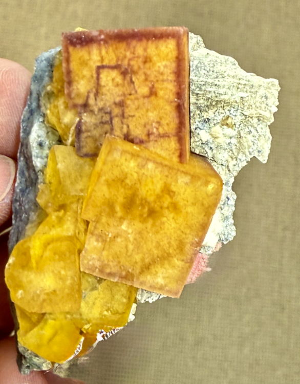 Capture d’écran 2026-01-29 à 18.52.48.png