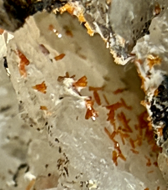 Capture d’écran 2026-01-29 à 18.55.54.png