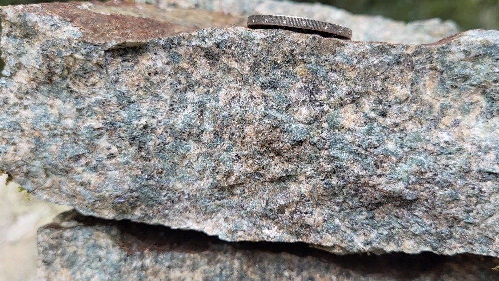 GRANOPHYRE - VIVARIO (8).jpg