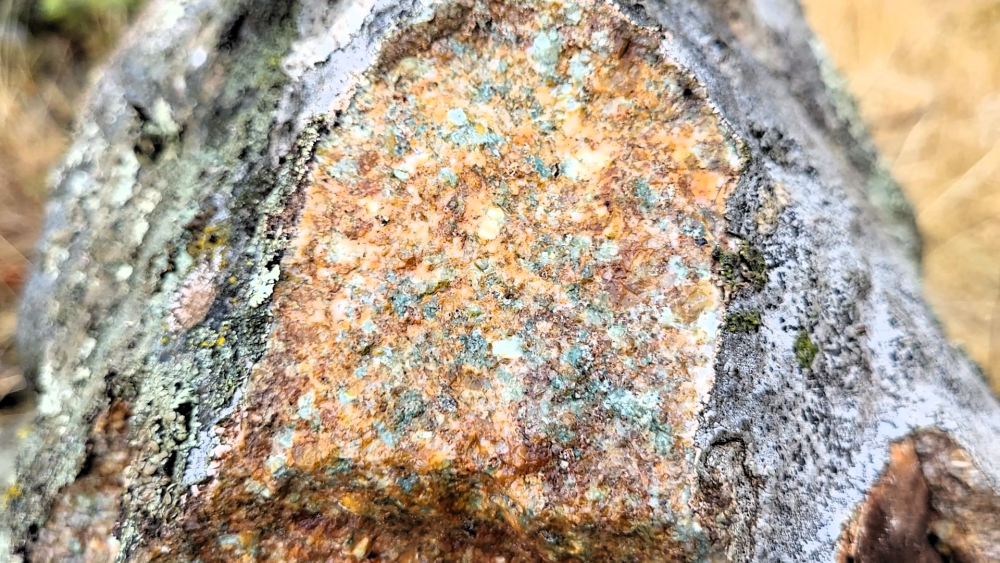 GRANOPHYRE HYDROTHERMALISE - VIVARIO (5).png