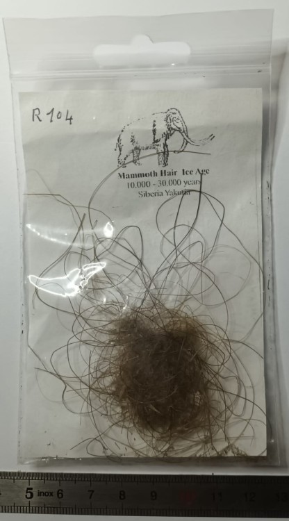 WhatsApp Image 2026-01-30 at 08.23.53 (1).jpeg