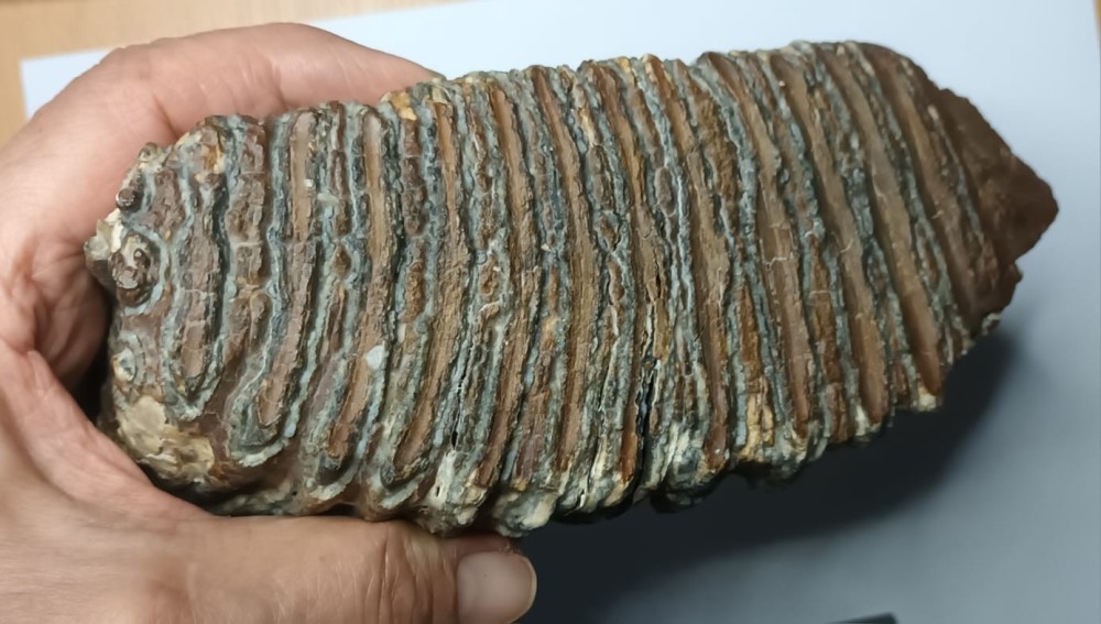 WhatsApp Image 2026-01-30 at 08.23.54.jpeg