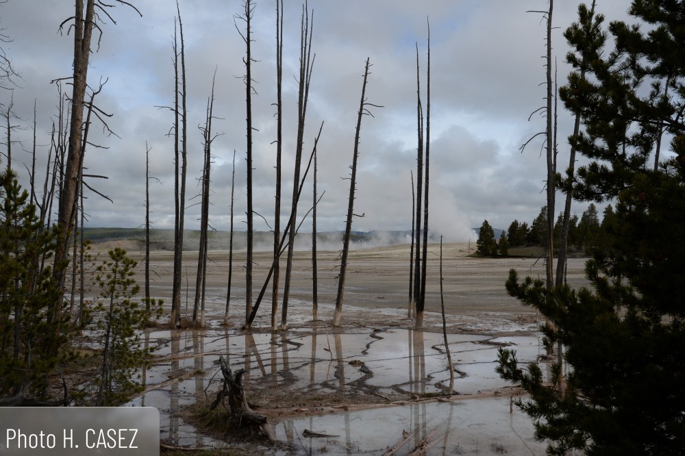 Yellowstone (1).JPG