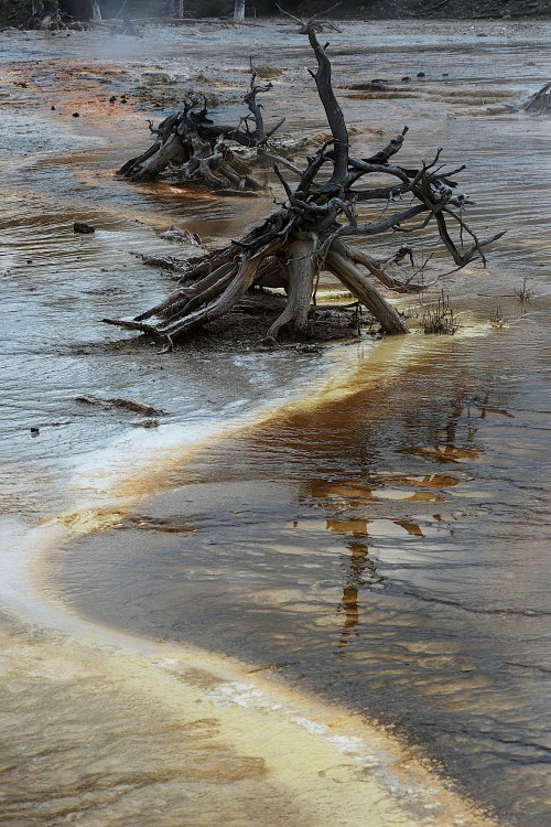Yellowstone (18).JPG