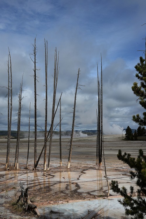 Yellowstone (20).JPG