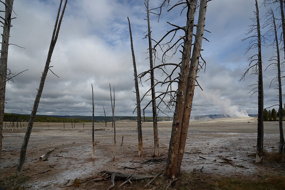 Yellowstone (21).JPG