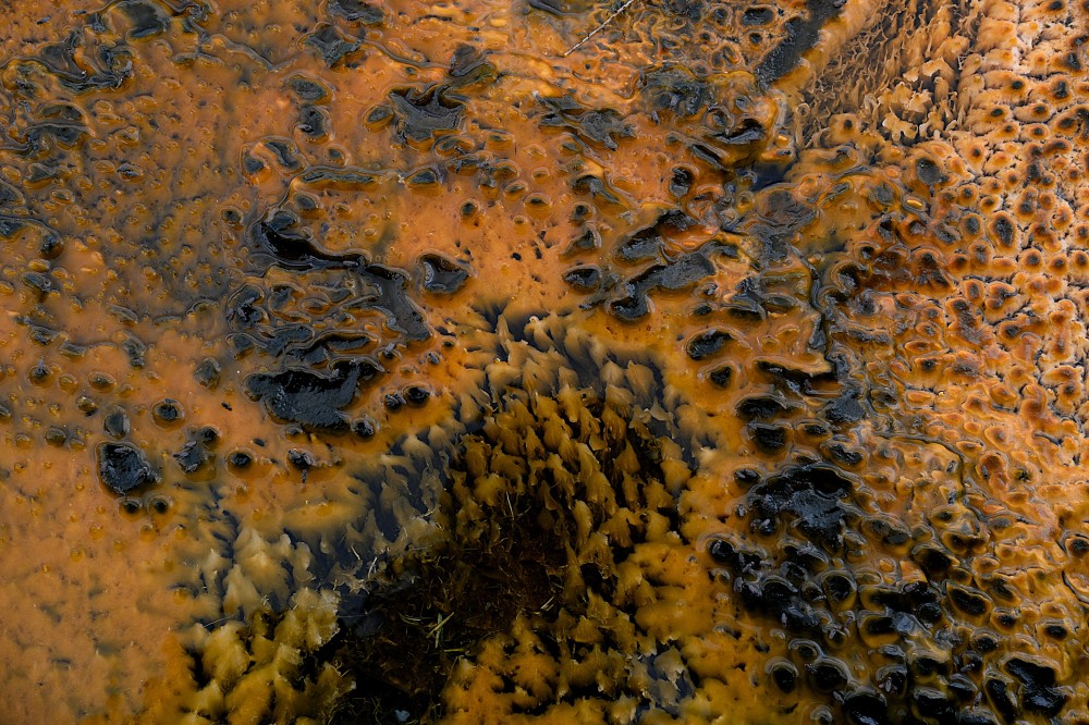 Yellowstone (48).JPG