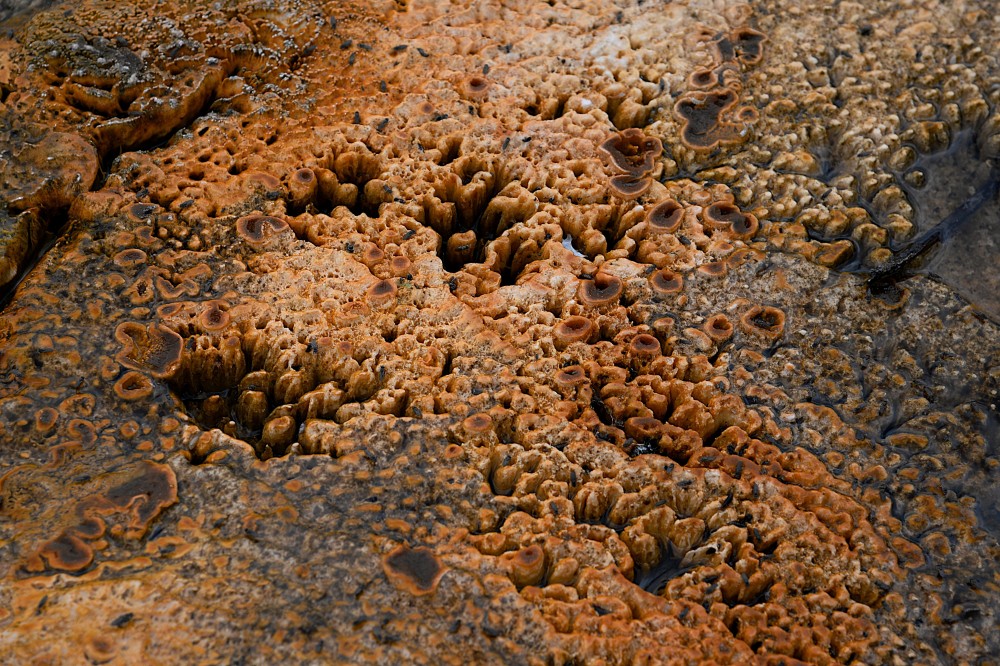 Yellowstone (49).JPG