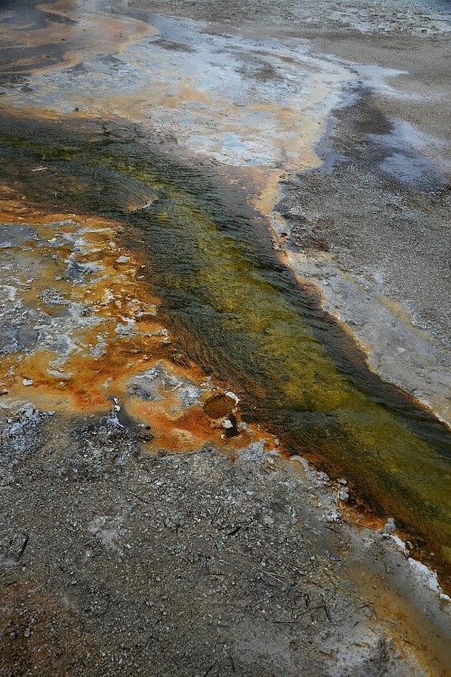 Yellowstone (51).JPG