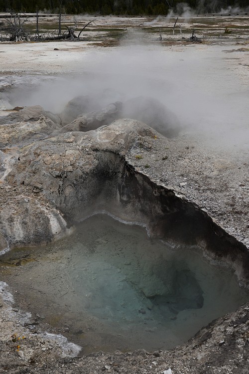 Yellowstone (55).JPG