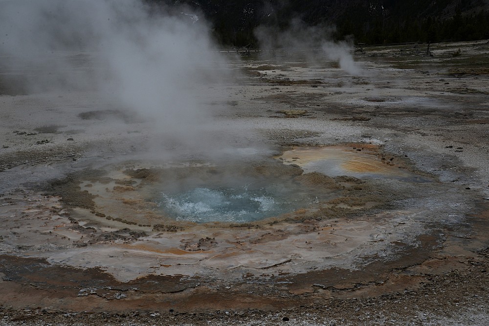 Yellowstone (57).JPG