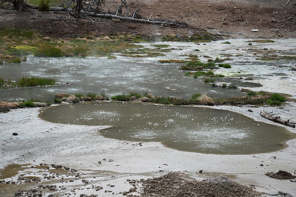 Yellowstone (59).JPG