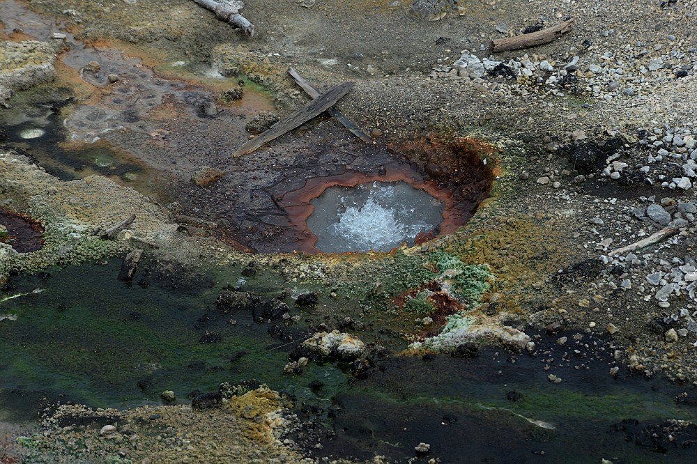 Yellowstone (64).JPG