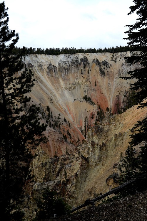 Yellowstone (66).JPG