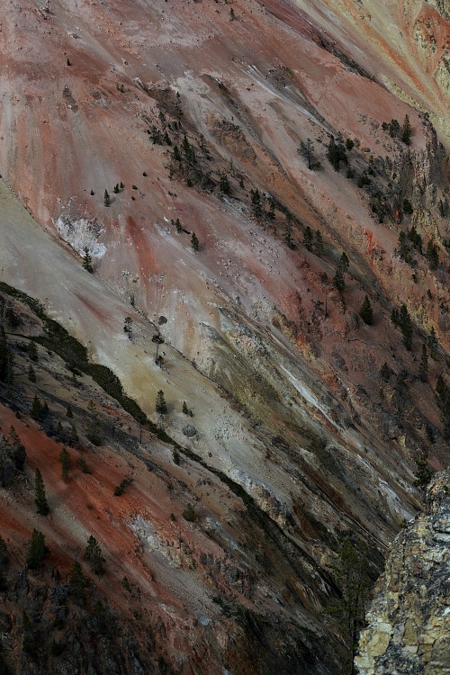 Yellowstone (68).JPG