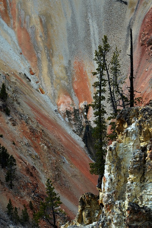 Yellowstone (71).JPG
