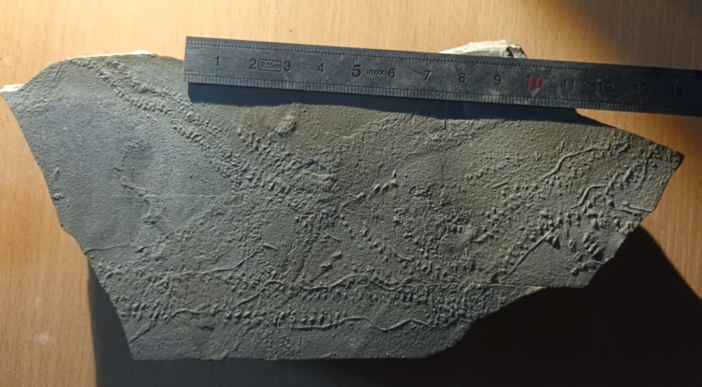 a92349c0-ca08-4169-b386-b06673a6f238 - Copie.jpg