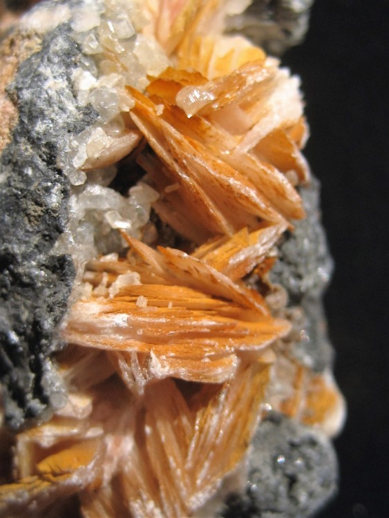 barytine cretée +Cérusite sur galéne Mibladen 2.JPG