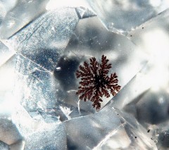 Analcime et dendrites 1.jpg