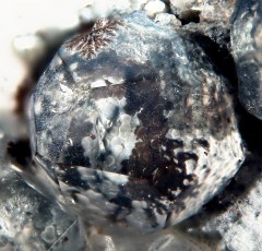 Analcime et dendrites 4.jpg