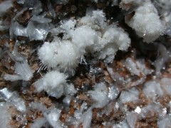 Aragonite, dickite et calcite sur dolomite.jpg