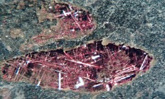 Chalcotrichite 3.jpg