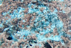 Orthoserpierite 1.jpg