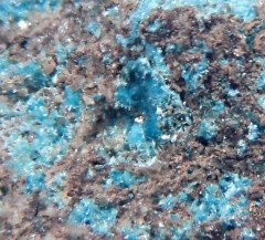 Orthoserpierite 2.jpg