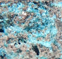 Orthoserpierite 6.jpg