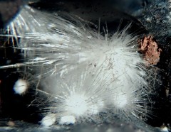 Picropharmacolite 3.jpg