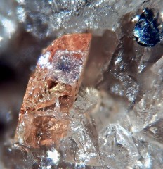 Titanite et magnétite.jpg