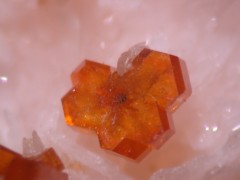Vanadinite micro.jpg