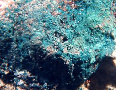 Vandenbrandeite 1.jpg