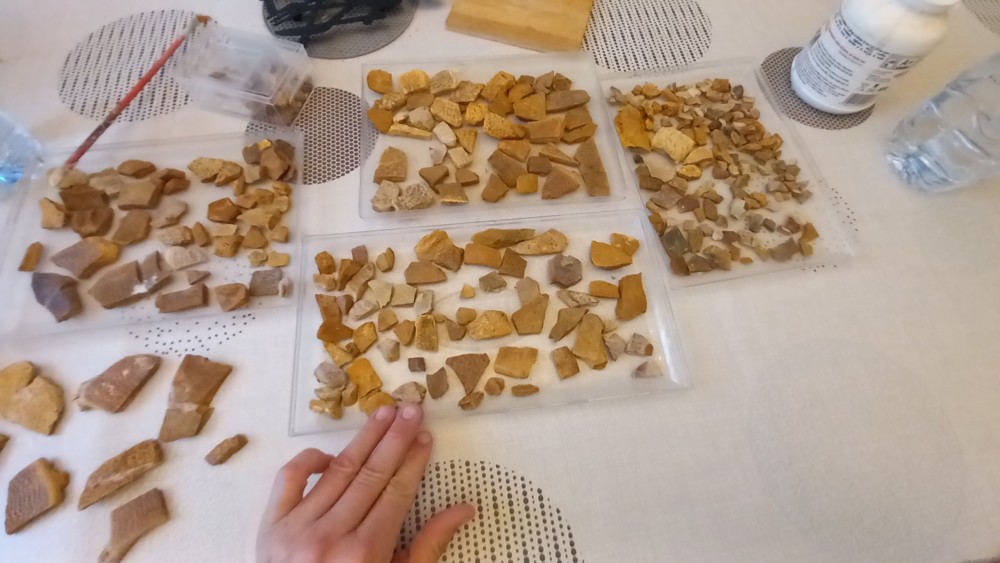 tortue_fossoy (3).jpg