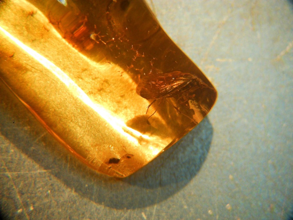 20250224_image (2).jpg