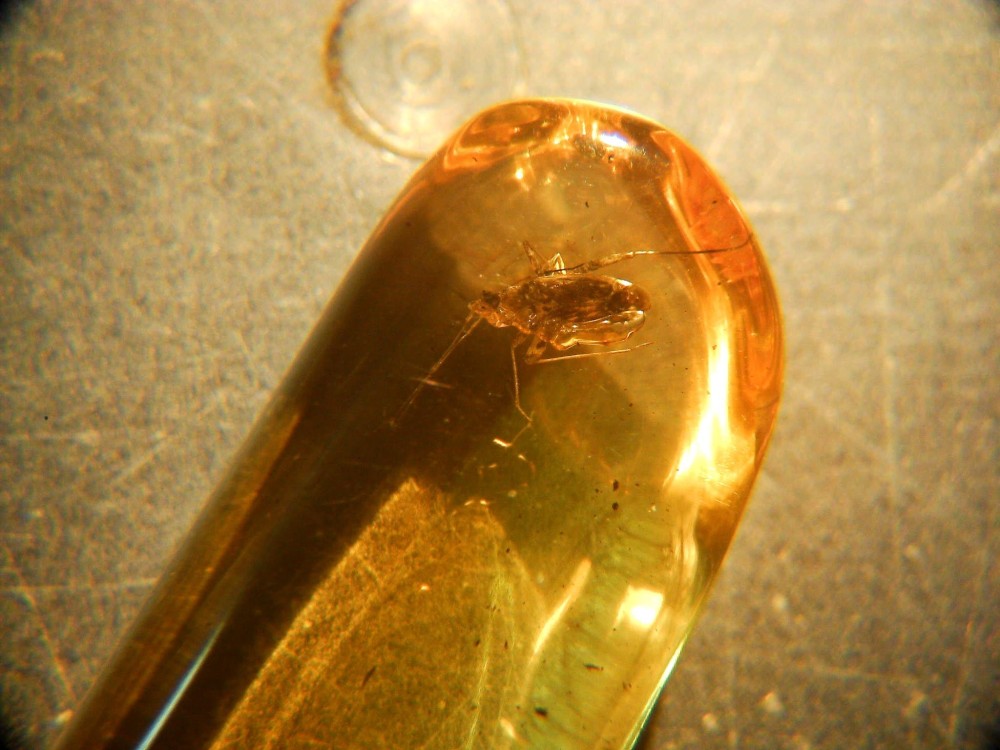 20250224_image (3).jpg