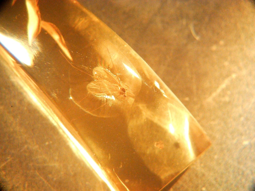 20250224_image (4).jpg