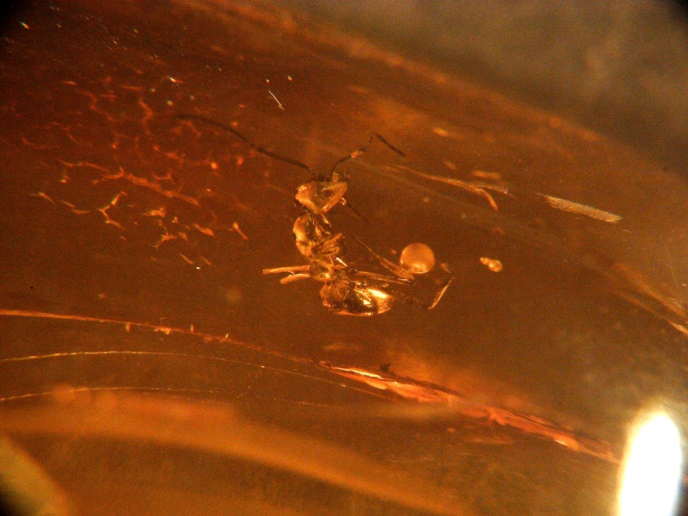 20250224_image (5).jpg