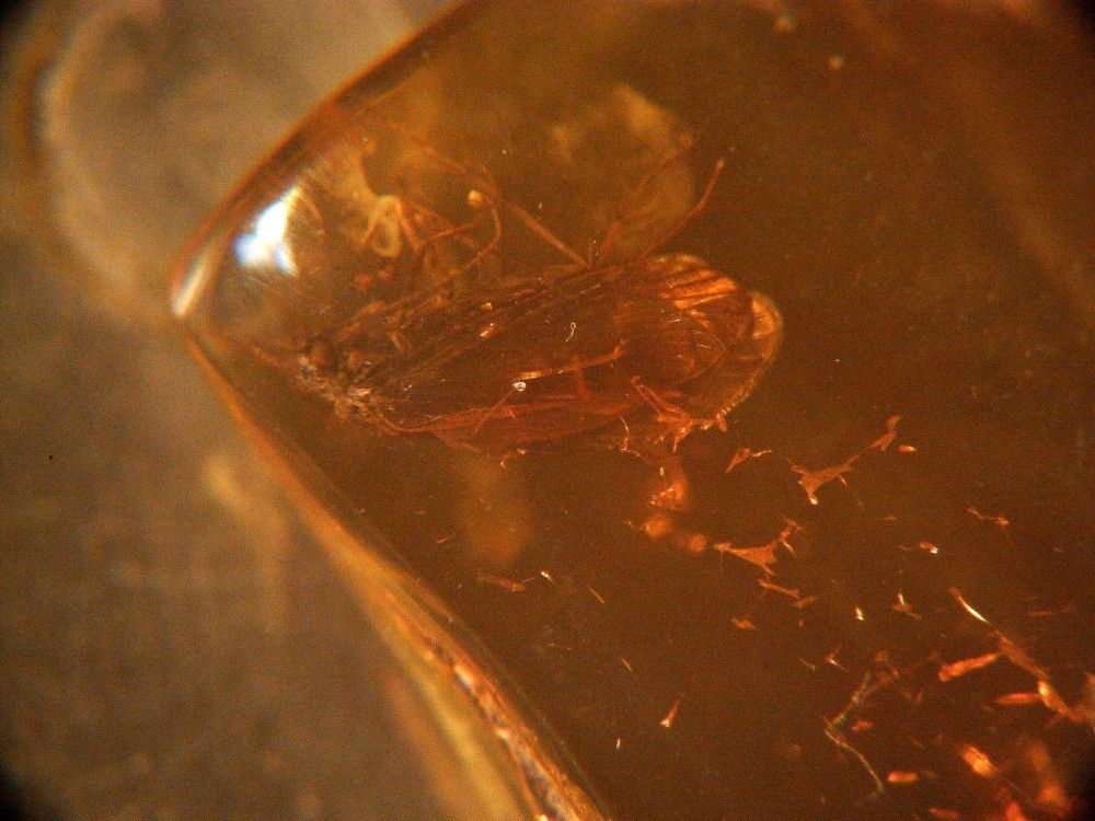 20250224_image (7).jpg