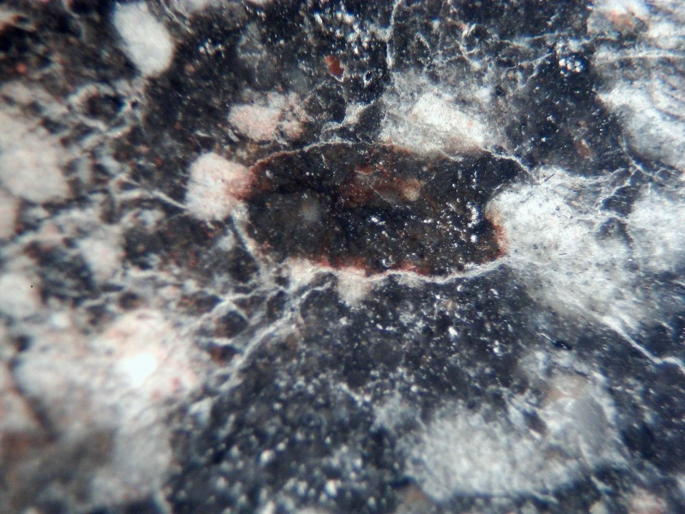 20250829_image (11).jpg